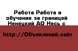 Работа Работа и обучение за границей. Ненецкий АО,Несь с.